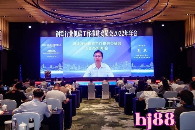 Hạ Nông: Ngành công nghiệp sắt thép làm việc thực tế, mức độ phát triển xanh và ít carbon ngày càng được nâng cao