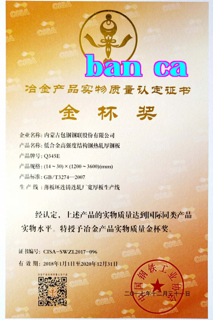 [Vua thép trên đất liền Trung Quốc] Thị phần thị trường nội địa đạt 1/4, thép gió Bao Thép 